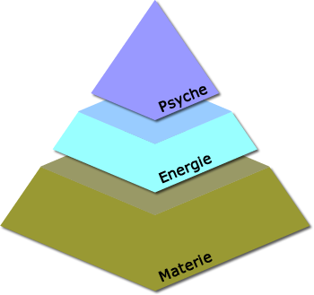 3 Lagen van het holistisch model